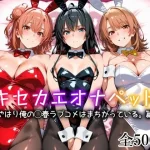 キセカエオナペット -やはり俺の◯春ラブコメはまちがっている篇-【愛玩ファクトリー】