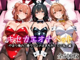 キセカエオナペット -やはり俺の◯春ラブコメはまちがっている篇-【愛玩ファクトリー】