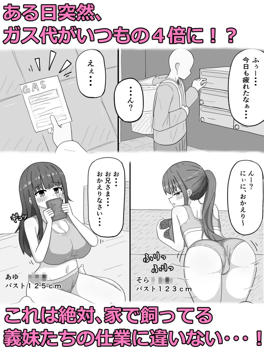 家で飼ってる引きこもり巨乳義妹×2と勢いで孕ませエッチした 画像1