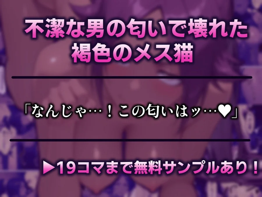 夜一さんが僕の霊圧で発情するなんて聞いてません!! 画像1